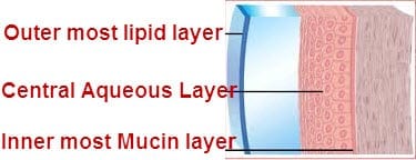 Tear Film Layers