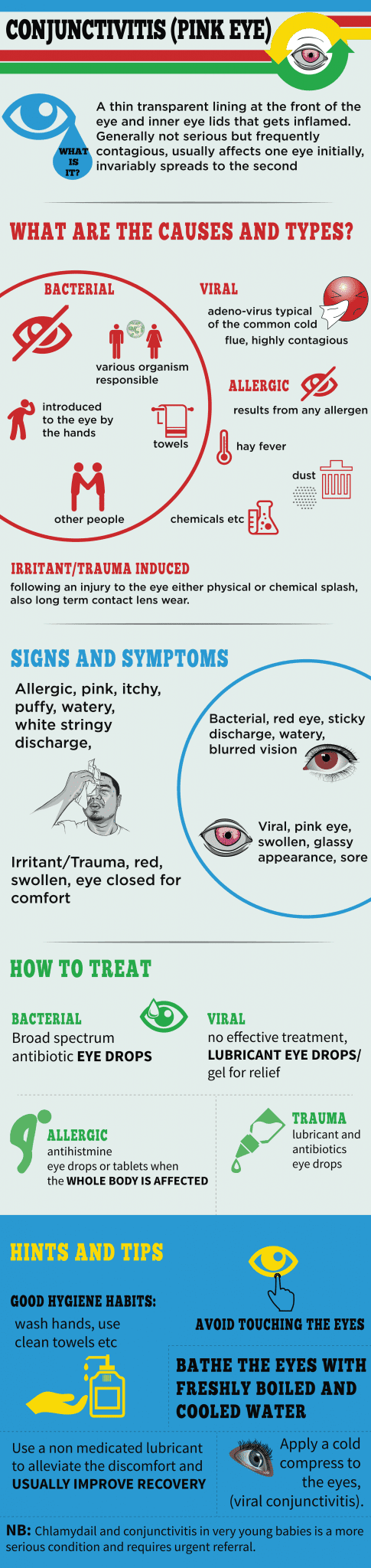 Pink Eye InfoGraphic | OpticalRooms