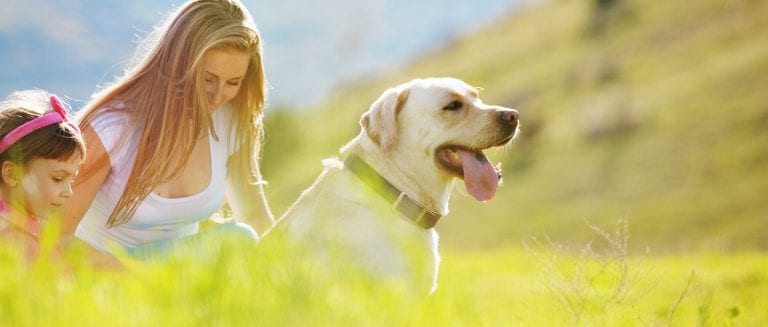 How much Vitamin D do we need? » OpticalRooms