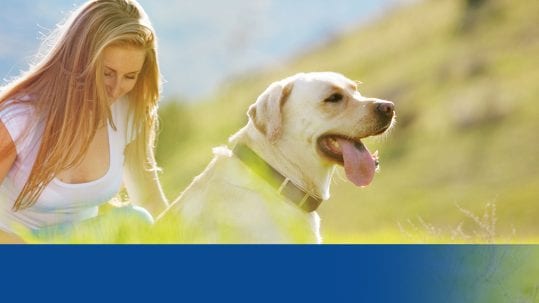Protect against Hayfever